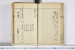明い006020080005.jpg