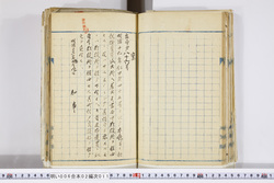明い006020110002.jpg