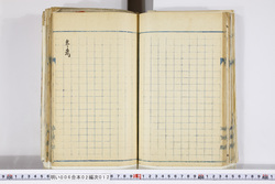 明い006020120002.jpg