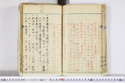 明い006020120005.jpg