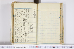 明い006020130002.jpg