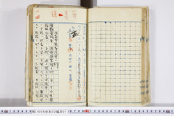 明い006020130004.jpg