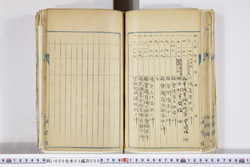 明い006030000003.jpg