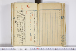 明い006030000004.jpg