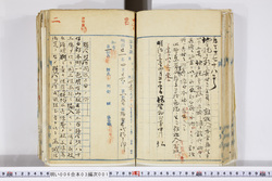 明い006030010002.jpg