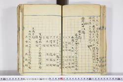 明い006030030002.jpg