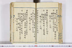 明い006030040005.jpg