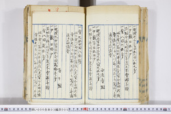 明い006030050006.jpg