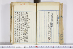 明い006030050007.jpg