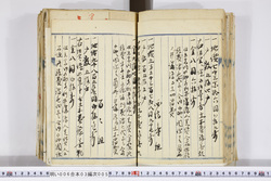明い006030050012.jpg