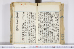 明い006030050014.jpg
