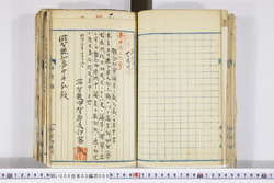 明い006030060005.jpg