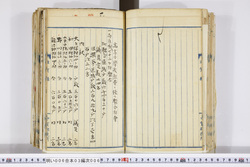 明い006030060006.jpg