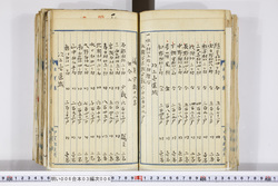 明い006030060007.jpg