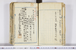 明い006030100002.jpg