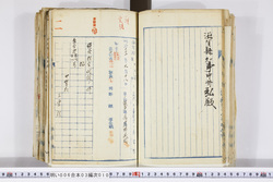 明い006030100003.jpg