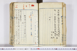 明い006030110003.jpg