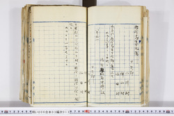 明い006030130002.jpg