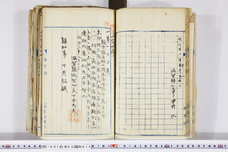 明い006030140002.jpg