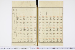 明い006030230012.jpg