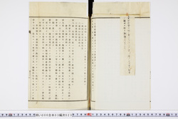 明い006030230016.jpg
