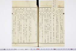 明い006030230017.jpg
