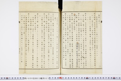 明い006030230018.jpg