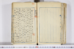明い006040010005.jpg