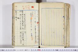 明い006040010007.jpg