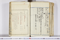 明い006040040002.jpg
