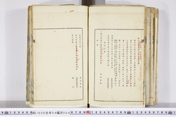 明い006040040003.jpg