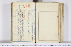 明い006040040004.jpg