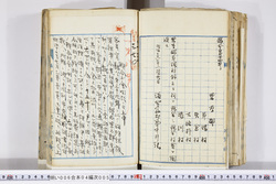 明い006040050002.jpg