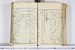 明い006040060002.jpg