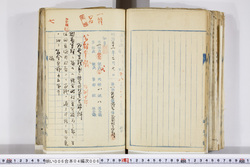 明い006040060008.jpg