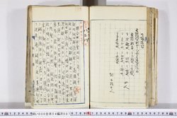 明い006040070007.jpg