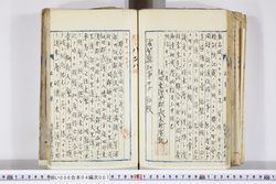 明い006040070008.jpg