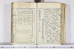 明い006040070009.jpg