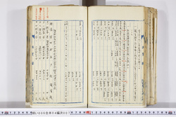 明い006040070010.jpg