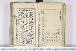 明い006040110002.jpg