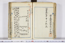 明い006040110004.jpg