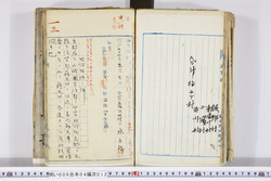 明い006040120005.jpg