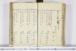 明い006040130002.jpg