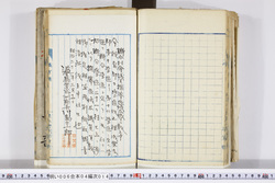 明い006040140004.jpg