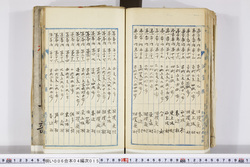 明い006040150004.jpg