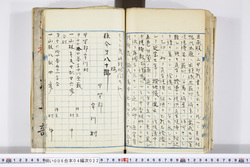 明い006040220002.jpg