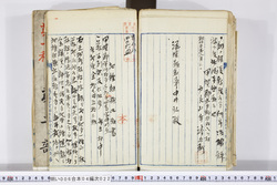 明い006040220007.jpg