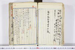 明い006040220008.jpg