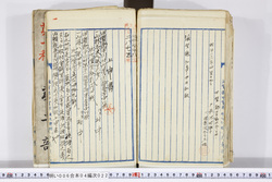 明い006040220009.jpg