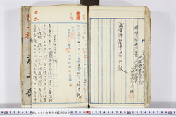 明い006040220010.jpg